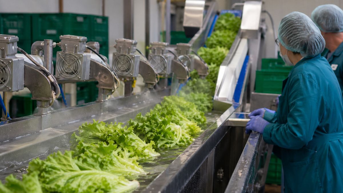 Tecnologías poscosecha para mejorar la calidad y reducir pérdidas en productos frescos.jpg